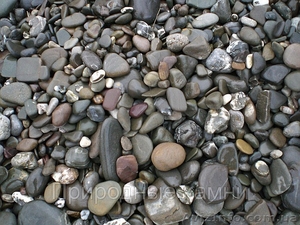 Ландшафтное бюро Сад и стиль #1011553