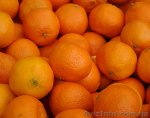 Продам мандарин(грузинский) Житомир. #1006715