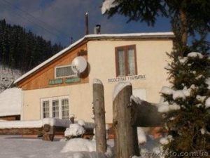 Новый Год в Карпатах. Ранчо «Синьогория»,  недалеко от Синевирского озера. #1004225