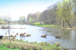 Рыбалка в гостиничном комплексе
