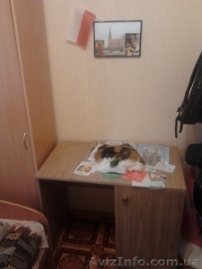 Продам стол и шкаф за 200 грн. #1013869