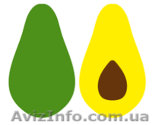 Продам готовый бизнес (интернет-магазин) #1007297