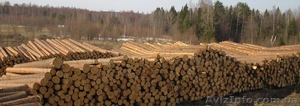 Продам лес-кругляк оптом,  сосна 2й сорт #1002042