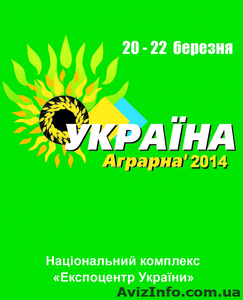 Выставка