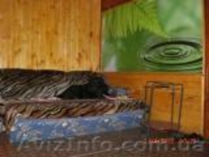 Сдам дом в деревне возле леса #288090