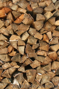 Продам дрова Акации #1006304