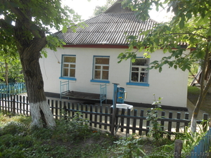 Продам дом с землей,  под Каневом #1011036