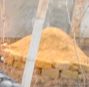 Тырса с доставкой.  #1009117