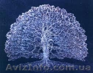 Потрібні на роботу   столяр а   високої кваліфікації #1006369