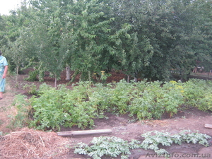 Участок с ветхим строением Лен р-н боссе #1007912