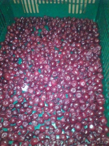 Продам замороженную вишню без косточки #1011875