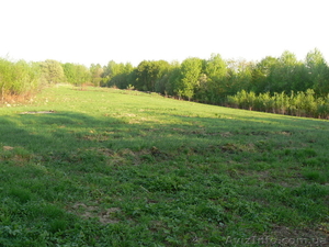 Продам земельну ділянку 0.68г. село Вербовець,  (Хімчинська) Косівський район. #1011192