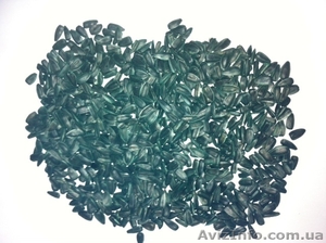 семена подсолнечника,  супер стойкий к засухе сорт Тайфун #1011005