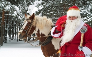 Новогоднее поздравление! #1013424