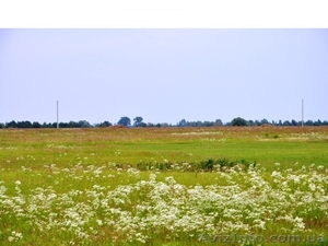 Дачные участки,  с.Процев,  Бориспольский р-н #1021659