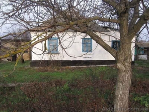 Срочно продам дом и участок земли в с.Ревное Бориспольского района #1027646