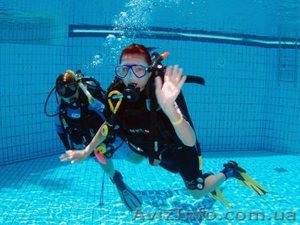 Дайвинг,  обучение,  организация дайвинг туров,  аренда снаряжения  #1017628