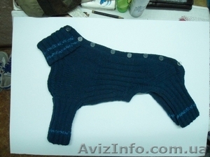 одежда для собак и котов #1023347