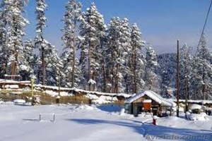 Горнолыжный тур на 8 Марта в Грузии #1019393