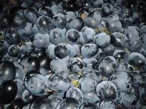 Виноград Молдова #1008321