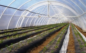 Теплицы арочные под пленку. #1027104