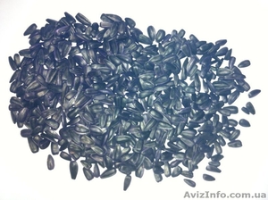 Семенноводческое хозяйство реализует семена кондитерского подсолнечника Алмаз #1026428