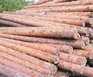 Продам рудстойку сосна. Диаметр 9-16 см.,  длина 4 метра.  #1017729