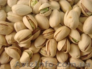качественные фисташка #1027963