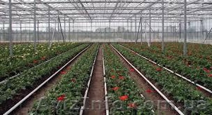 Автополив Rain-Bird #1023889