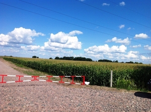 Продам группу земельных участков площадью 20 гектар #1019700