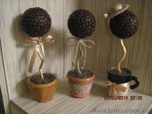 Продам деревья из зёрен кофе #739796