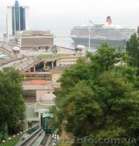  Агенство Тудой-сюдой #1024625