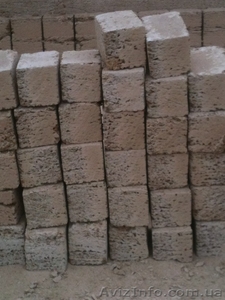 Евгений камень ракушечник #1017274