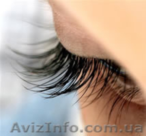 нанесение полуперманентной туши в Днепропетровске гарантия обучение #1025046