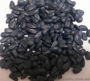 ЕлитСемХоз реализует семена подсолнечника #1021554