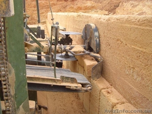 Камень-ракушечник крымский #1028671