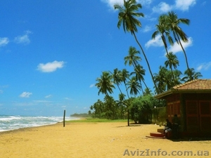 ШРІ ЛАНКА З КИЄВА #1020139