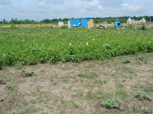 Участок с. ОСЫКОВО,  32 км от КП,  12 соток #1047135