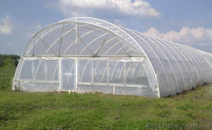 Плёночные теплицы  шириной - 10м #1041071
