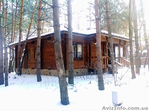 Деревяный дом в сосновом лесу. с. Революционное. #1038355