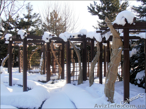 Подготовка сада к зиме #419935