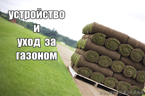 Устройство газона,  рулонный газон. Уход за газоном #1047680