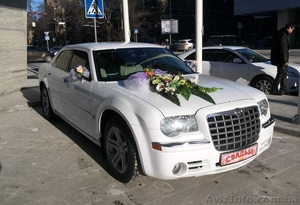 Авто на Свадьбу в Харькове #1033052