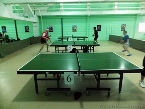 Клуб настольного тенниса «Метеорит» #1038951