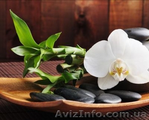 Широкий спектр массажных услуг (доступные цены) #1046724