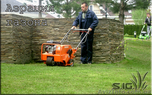 Аэрация газона;  вертикальный рез газона  #1037463
