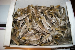 Продаем бычок сушеный без головы #1035472