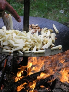 сковорода из диска бороны #1032353