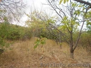 Продается приватизированный дачный участок 12 соток #1040068