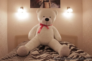 Большие плюшевые медведи. Бесплатная доставка #1038953